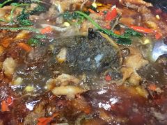 鲶鱼-巴乡石锅鱼(密云店)