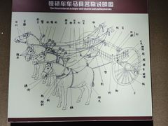 -洛阳周王城天子驾六博物馆