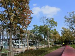 -上海山野camping·户外天幕烧烤·团建拓展营地