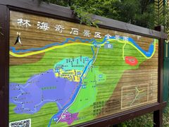 -汤旺河林海奇石景区