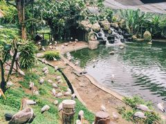 -吉隆坡雀鸟公园