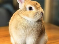 -彝席之地四合院·山珍私宴·婚宴