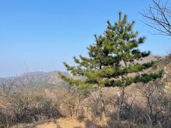 -金龙寺国家森林公园