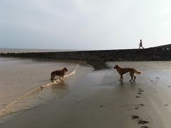 -南汇嘴观海公园