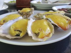 -新合益乡村农庄