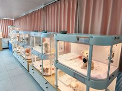 -翊宠yipet猫狗购宠庄园犬舍•猫舍