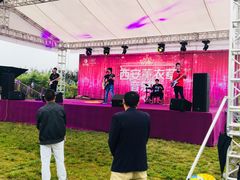 -曲江薰衣草庄园