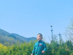 -沣峪口