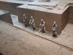 -秦始皇帝陵博物院-丽山园