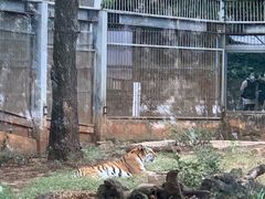 -昆明动物园