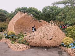 -上海滨江森林公园