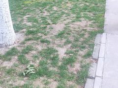 -秀水公园