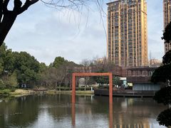 -陈家山荷花公园