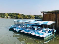 -昆山城市生态森林公园