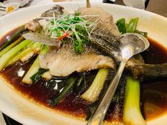 清蒸笋壳鱼-新南华大酒店(长寿店)