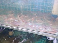 -面道赞宁海海鲜面(迎凤街店)