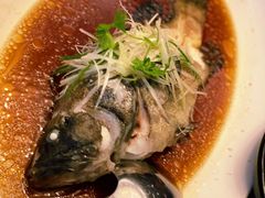 清蒸鲥鱼-苏浙汇(朝外店)