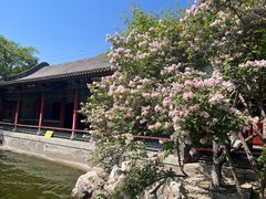 -碑林公园