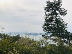 -梦姑塘文化公园