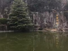 -天鹅湖体育公园