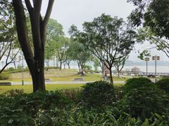 -顺峰山公园