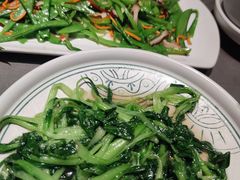 鸡毛菜-云海肴·汽锅鸡·云南菜(高德置地店)