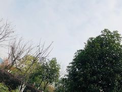 -沙河三洞古桥公园