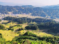 -紫鹊界梯田景区