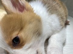 -乐宠宠物店(世纪金源店)