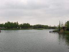 -水月周庄铂尔曼酒店 · 漾全日餐厅
