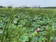 -哈尔滨大剧院