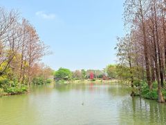 -海珠湖公园