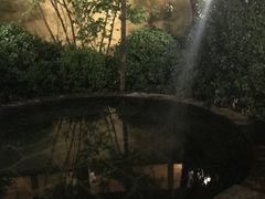 -仁爱团泊湖温泉中心