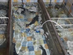 -缘福乡村铁锅炖民宿(八达岭店)