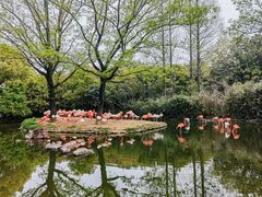 -上海野生动物园