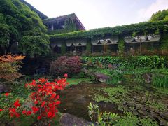 -中国茶叶博物馆(双峰馆区)