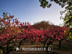 -国家植物园
