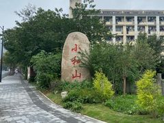 -午潮山国家森林公园
