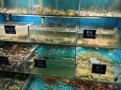 -北戴河庆山饭店·海鲜砂锅粥(北戴河黑石路店)