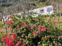 -小南山公园