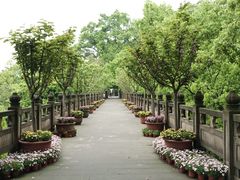 -南山植物园