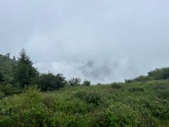 -驼梁风景区