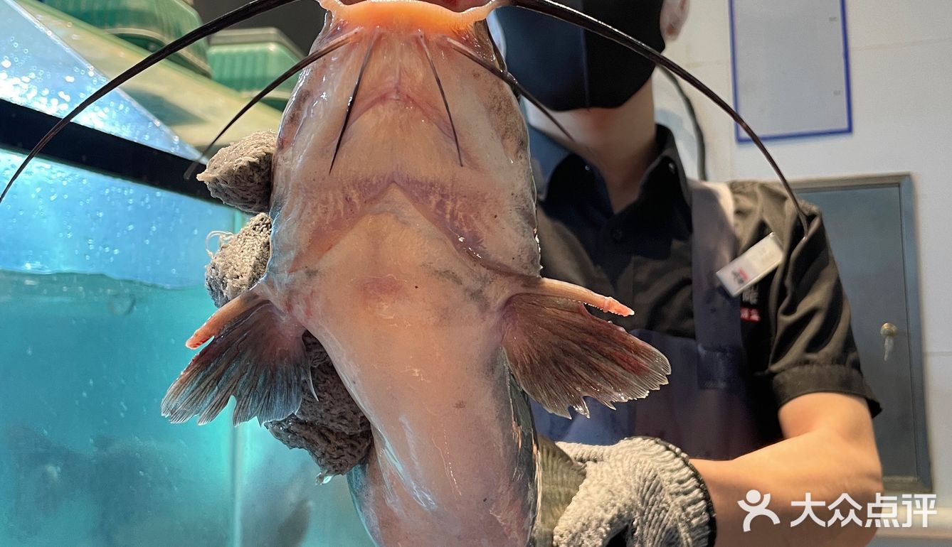 实在好满意，吃上了自己选的鱼🐟