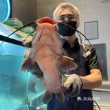 实在好满意，吃上了自己选的鱼🐟