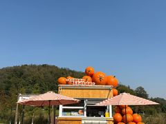 -南北湖风景区