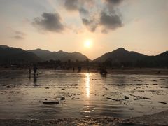 -北岐滩涂
