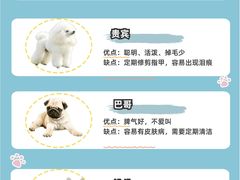 -翊宠yipet猫狗购宠庄园犬舍•猫舍