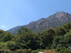 -莲峰云海景区