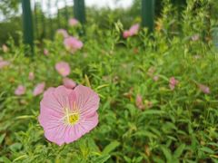 -渤公岛生态公园