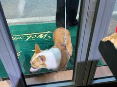 -绿柠食堂(北外滩店)